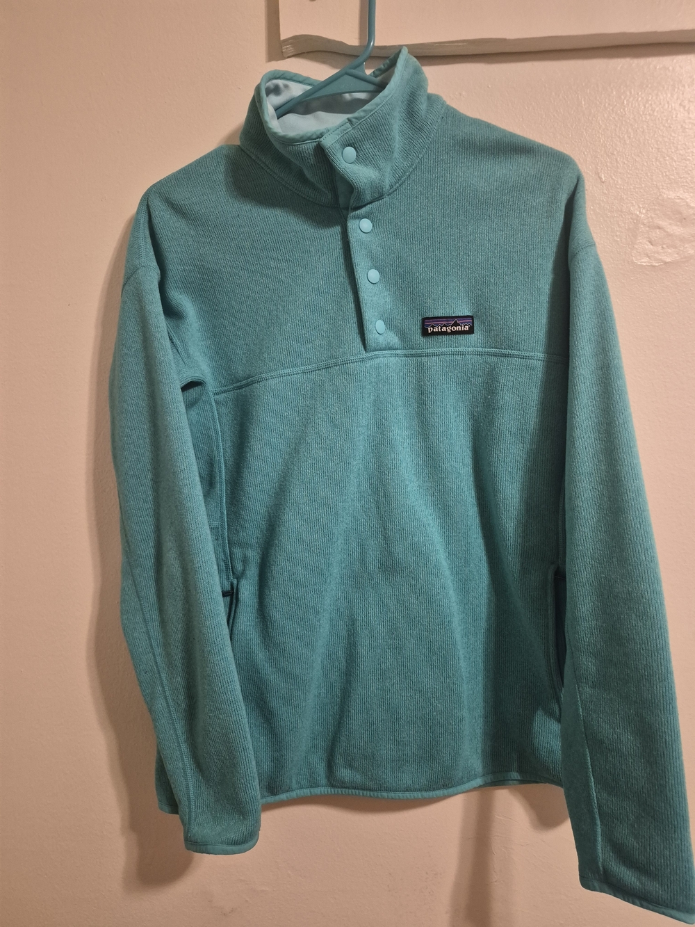 Patagonia Teal Snap-Button Fleece Pullover